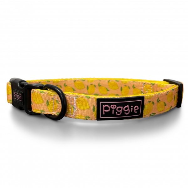 Citrus Got Real Dog Collar